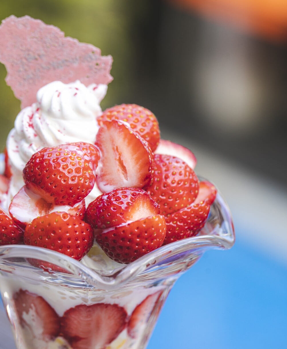 期間限定 Strawberry Dessert ストロベリーパンケーキ 苺パフェ ウィズザスタイルフクオカ With The Style Fukuoka 期間限定 Strawberry Dessert ストロベリーパンケーキ 苺パフェ ウィズザスタイルフクオカ With The Style Fukuoka